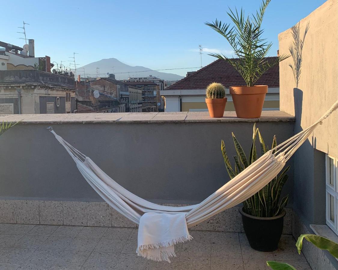 Homestay Rooftop Katanya Dış mekan fotoğraf
